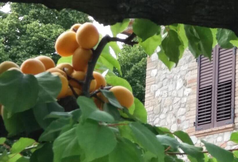 膳宿费 Ai Prati Vecchi