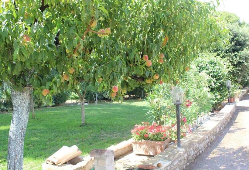 膳宿费 Ai Prati Vecchi