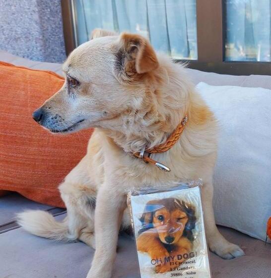 旅馆 Viviendas Vacacionales El Carrascal