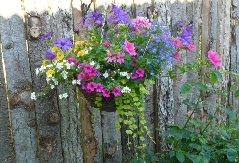 민박 Dolly At Lowlands