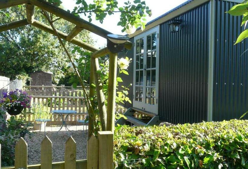 민박 Dolly At Lowlands