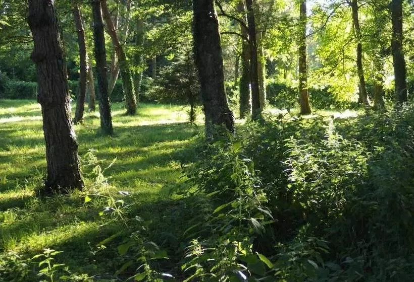 Aamiaismajoitus (B&B) Stuartlodge S