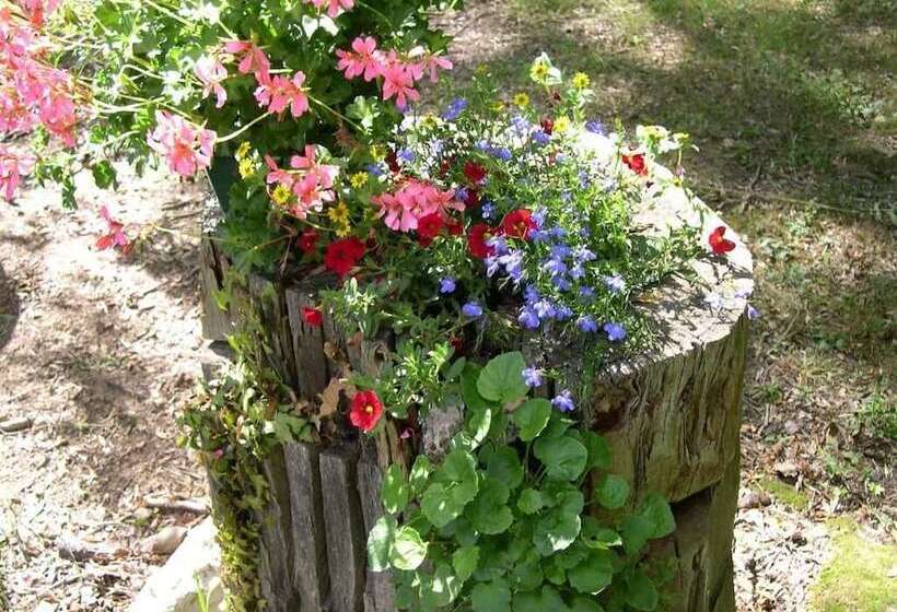 مبيت وإفطار Stuartlodge S