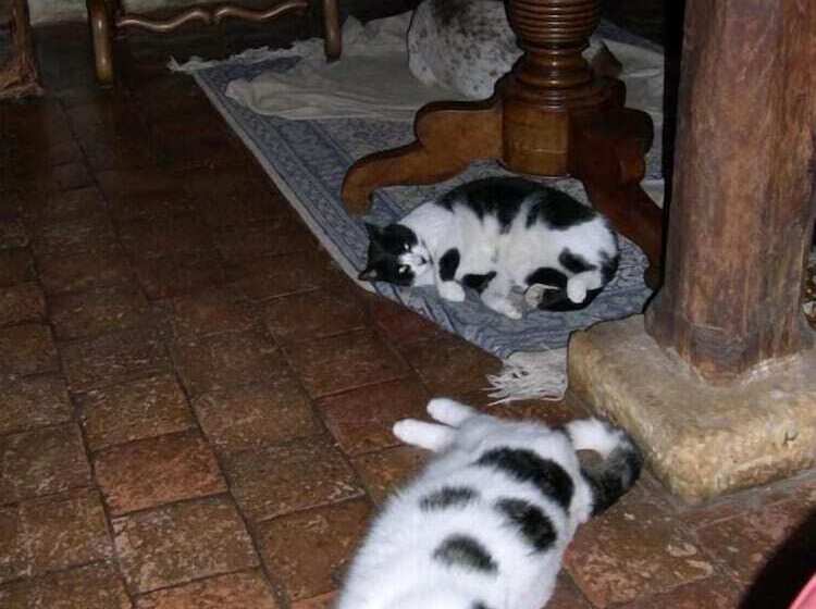 مبيت وإفطار Stuartlodge S