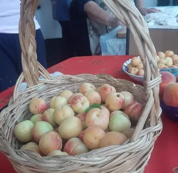 Bed And Breakfast Villa Angelina