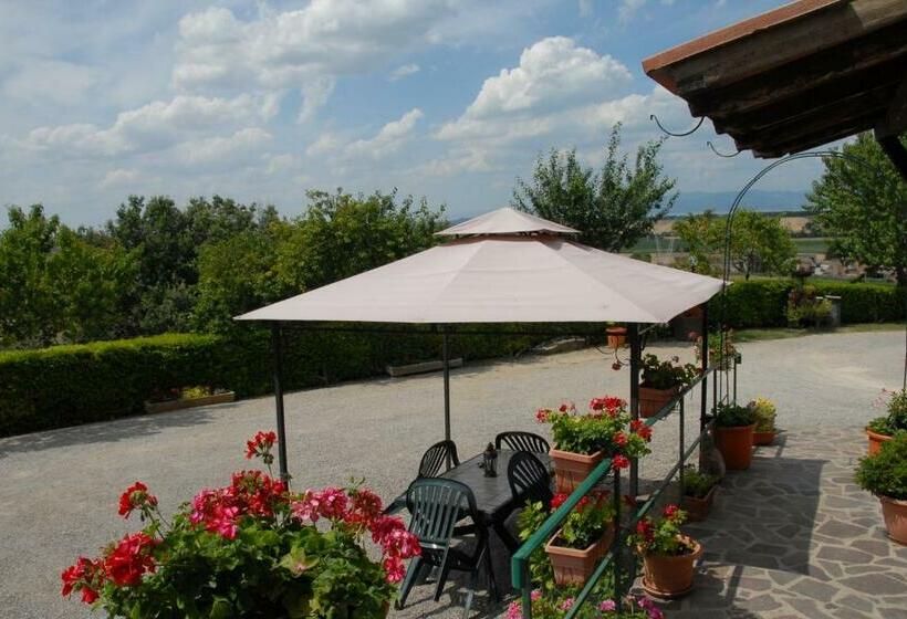 酒店 La Piaggiola Degli Olivi