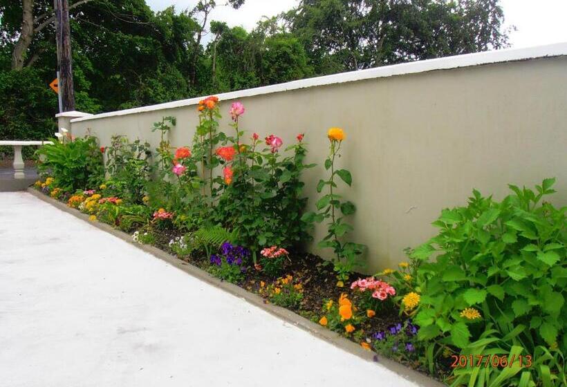 Larkfield House B&b, Ballycasheen Kerry V93 Wd51