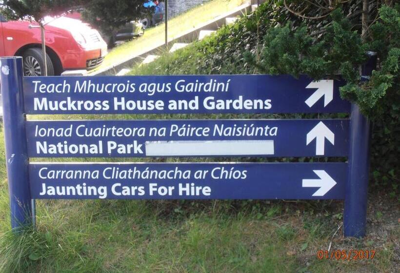 Larkfield House B&b, Ballycasheen Kerry V93 Wd51