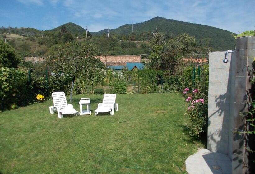 ペンション Clisura Dunarii   Danubian Border