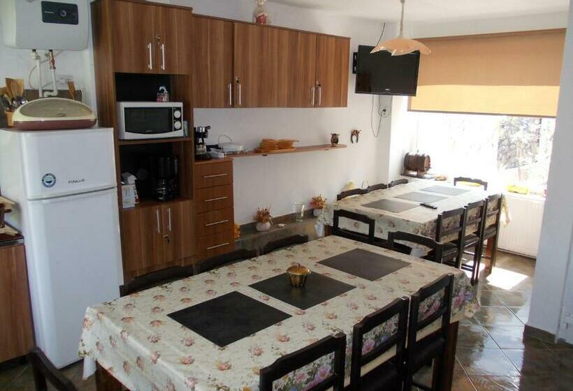 ペンション Clisura Dunarii   Danubian Border