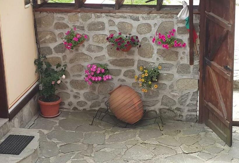 Pensionat Denis Guest House