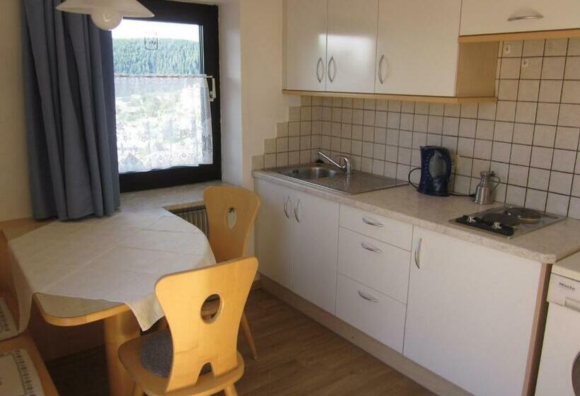 膳宿费 Gasthof Zum Roessl