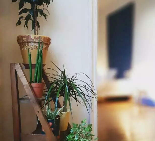 ペンション Maison Saint James