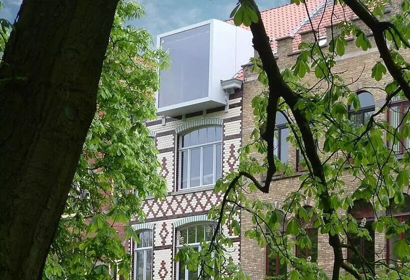 Vegan, Plant Based B&b Central Bruges