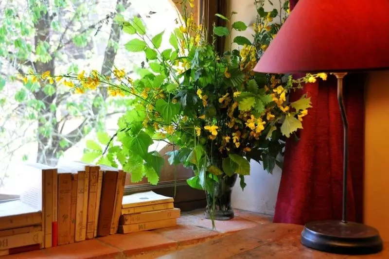 Aamiaismajoitus (B&B) Domaine Du Ris De Feu