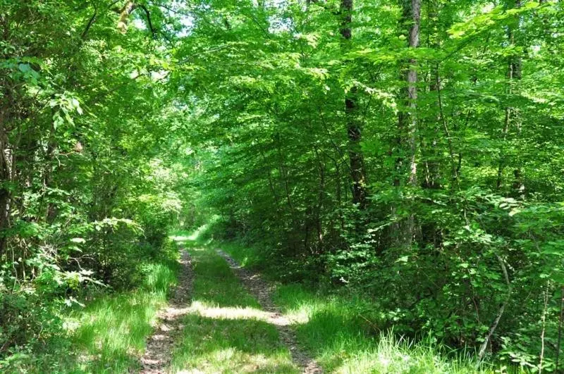 Aamiaismajoitus (B&B) Domaine Du Ris De Feu