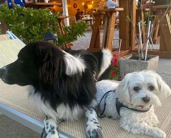 ベッドアンドブレックファースト La Casa Di Campagna Sul Garda