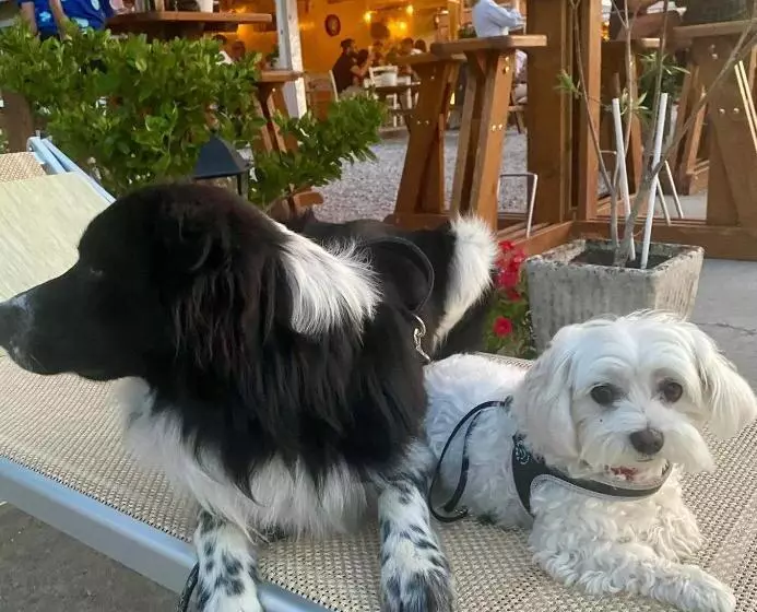 Aamiaismajoitus (B&B) La Casa Di Campagna Sul Garda