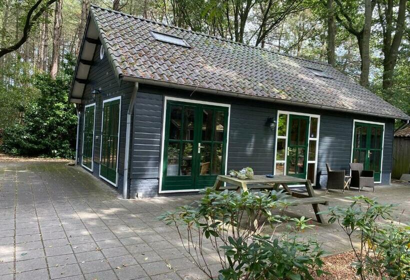 민박 T Wettenshuys