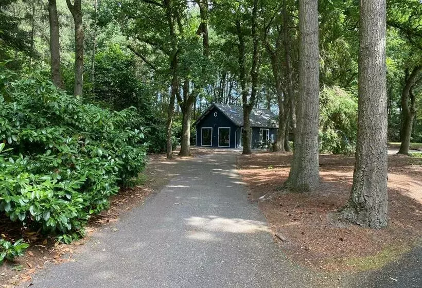 Aamiaismajoitus (B&B) T Wettenshuys