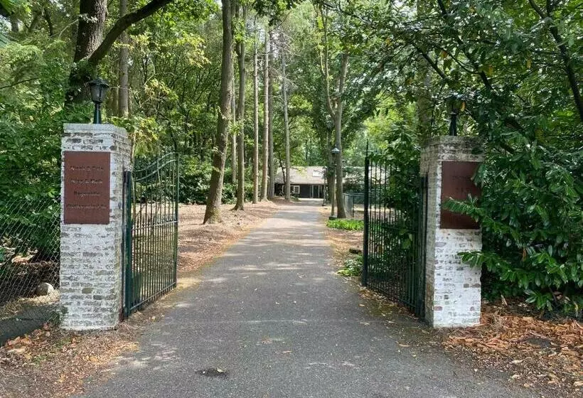 Aamiaismajoitus (B&B) T Wettenshuys