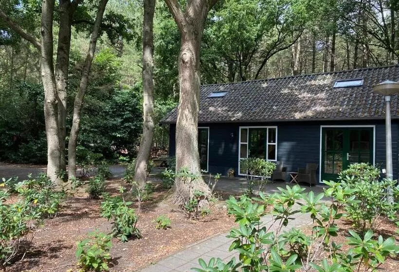 Aamiaismajoitus (B&B) T Wettenshuys