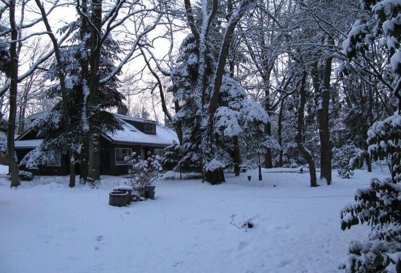 민박 T Wettenshuys