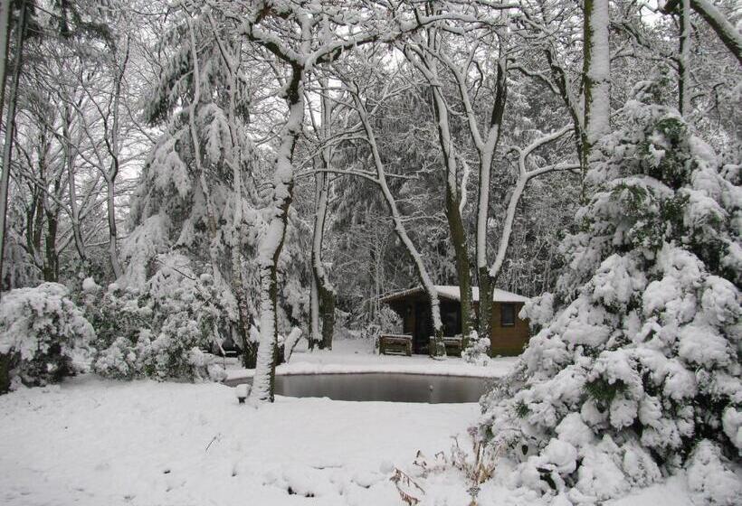 민박 T Wettenshuys