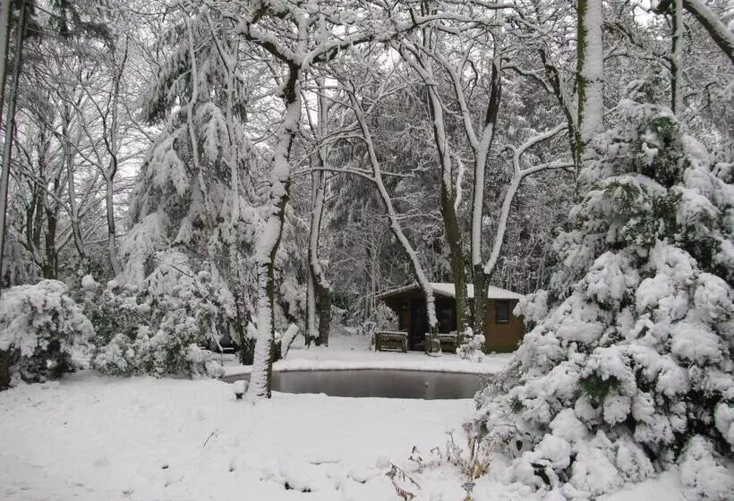 Aamiaismajoitus (B&B) T Wettenshuys