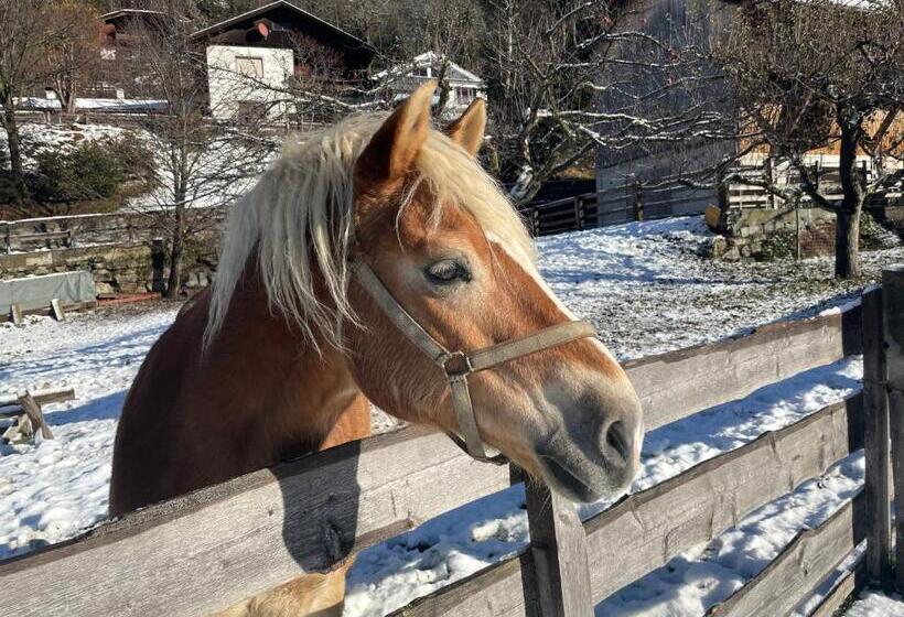 בית מלון כפרי Bio Bauernhof Auernig