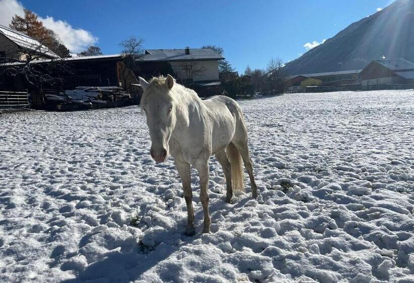 בית מלון כפרי Bio Bauernhof Auernig