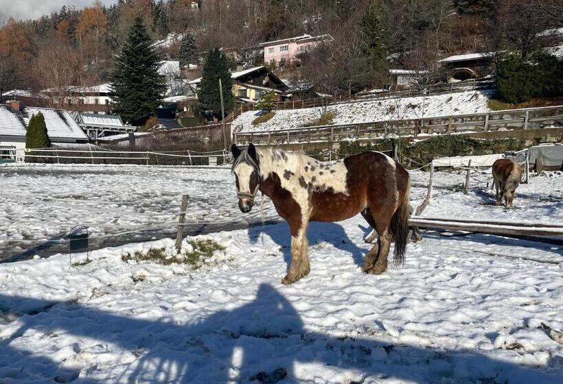 בית מלון כפרי Bio Bauernhof Auernig