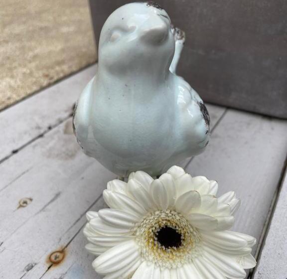 بنسيون Chambres Chez L Habitant Capucine