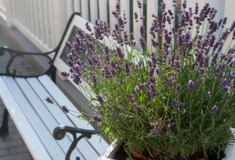 Majatalo Villa Katharina