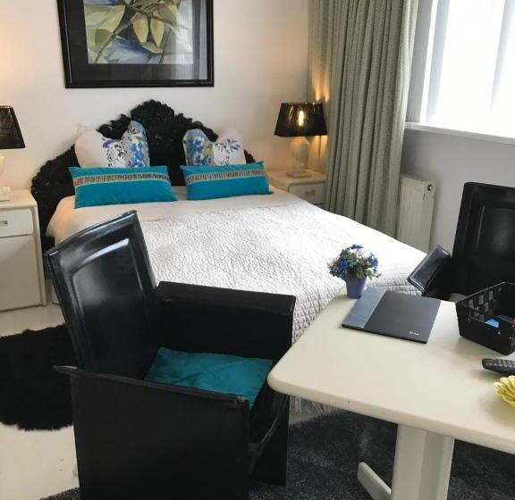 ペンション Villa  T Haasduin