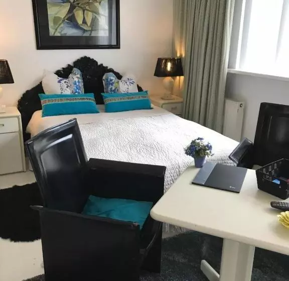 ペンション Villa  T Haasduin