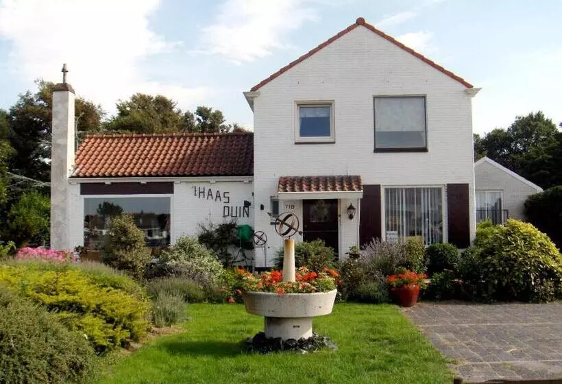 ペンション Villa  T Haasduin