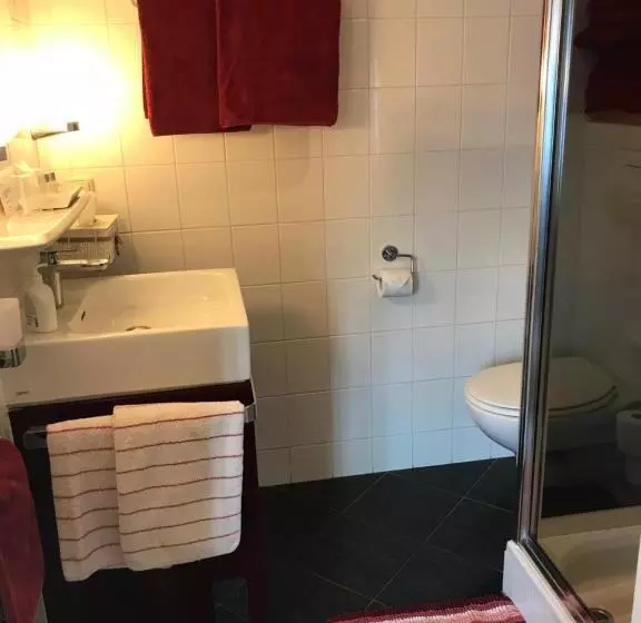 ペンション Villa  T Haasduin