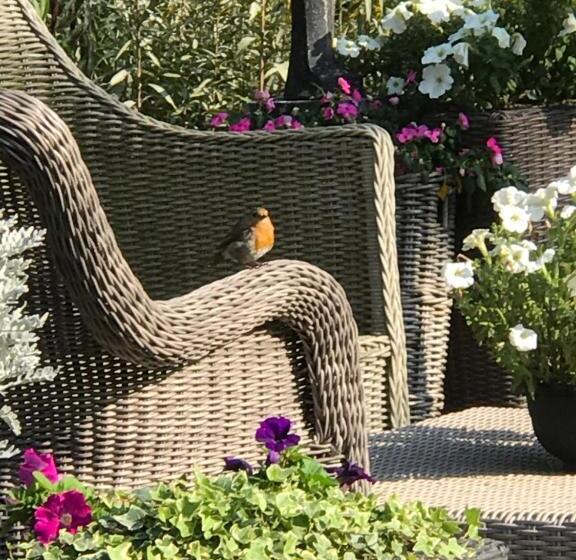 ペンション Villa  T Haasduin