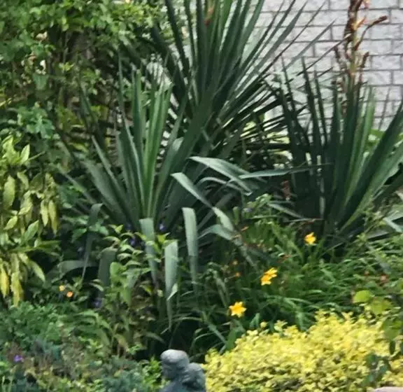 ペンション Villa  T Haasduin