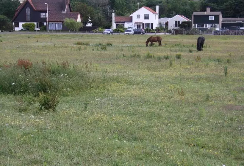 ペンション Villa  T Haasduin