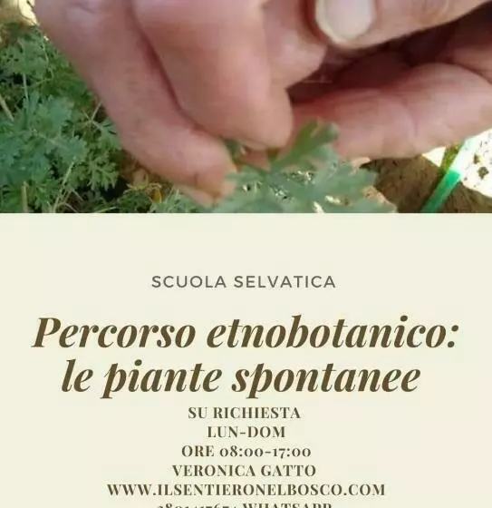 B&b Il Sentiero Nel Bosco