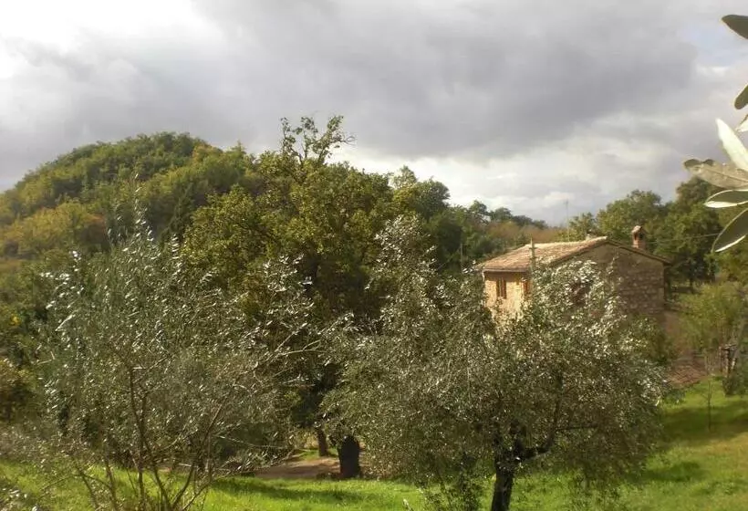 B&b Il Sentiero Nel Bosco
