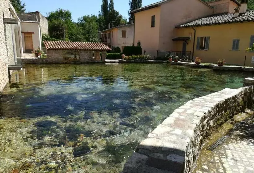 B&b Il Sentiero Nel Bosco