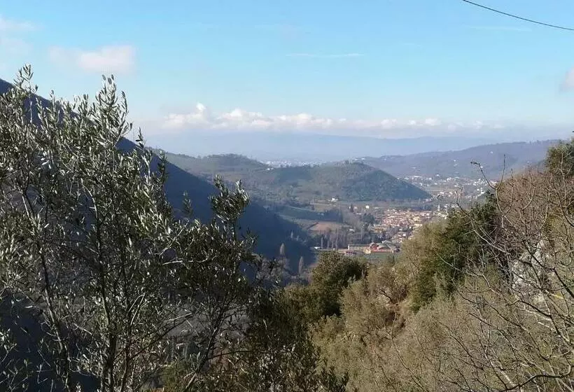 B&b Il Sentiero Nel Bosco