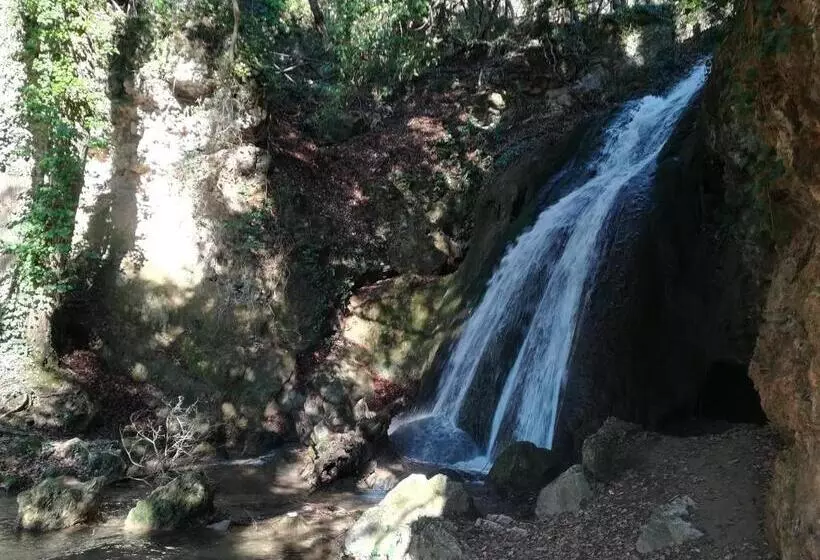 B&b Il Sentiero Nel Bosco