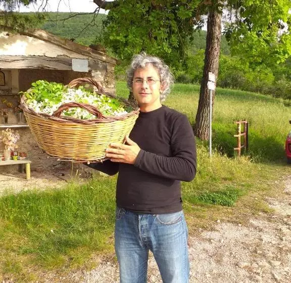 B&b Il Sentiero Nel Bosco