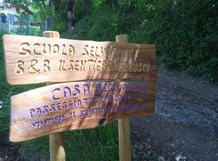B&b Il Sentiero Nel Bosco