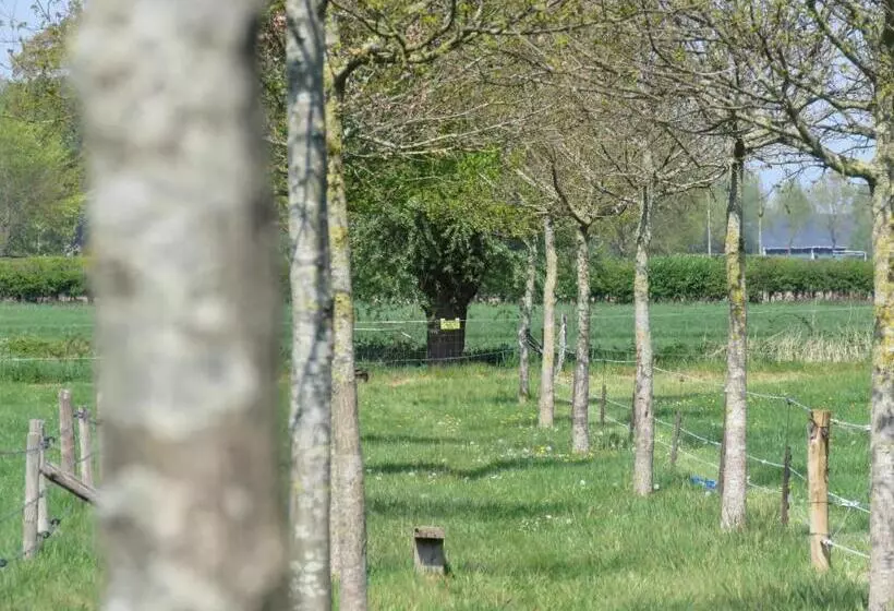 ベッドアンドブレックファースト De Aze