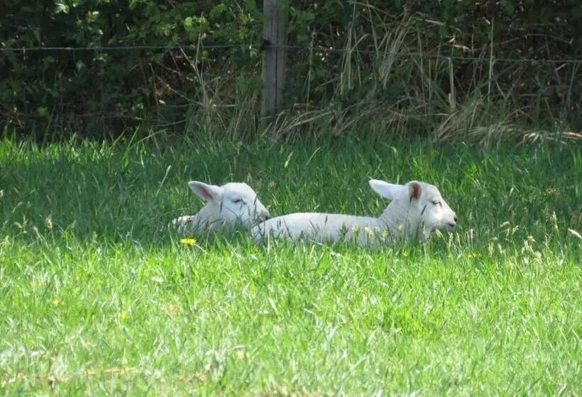 ベッドアンドブレックファースト De Aze